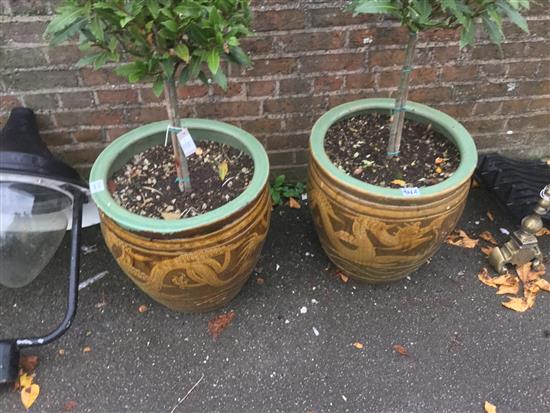 Pair Chinese pots with bay trees